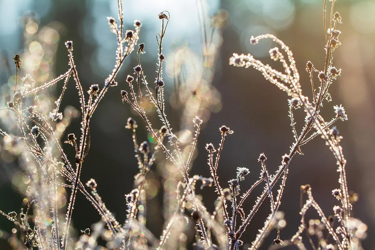 Why Your Phone Battery Dies Faster in Cold Weather and How to Protect It